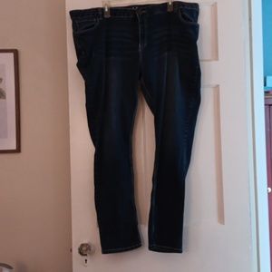 Reign low rise womens plus size 24 skinny jeans